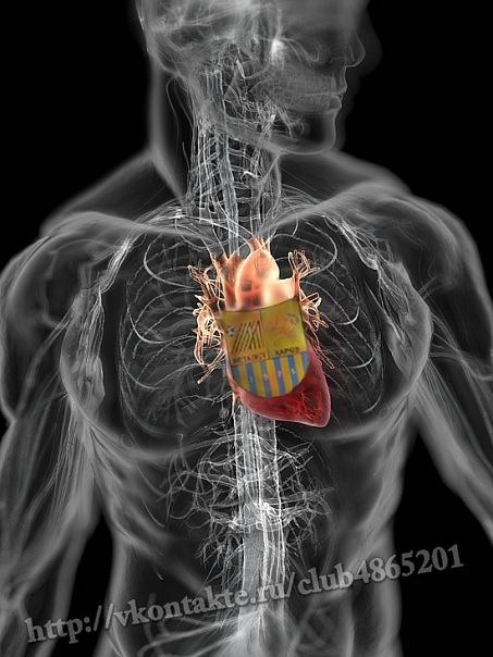 Миха Пошелок | Харьков