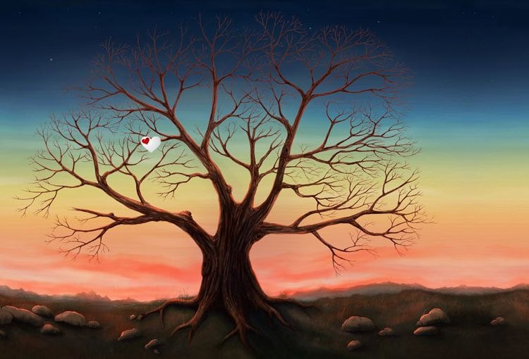 Тимур Белый | 