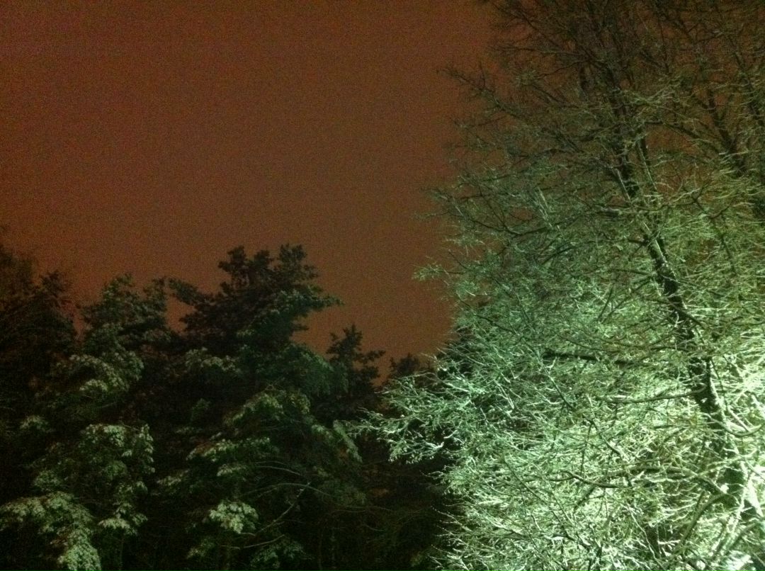 Елена Рожкова Прекрасная | Москва