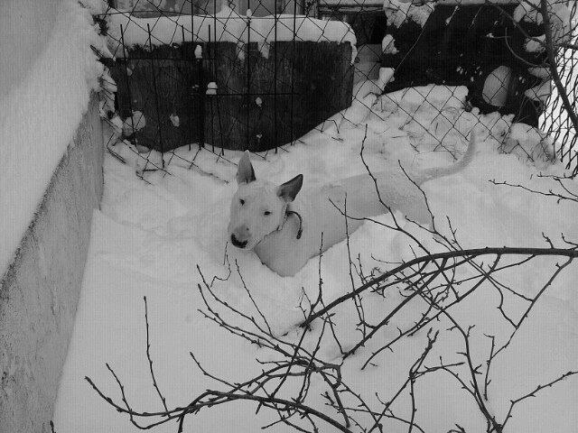 Юлия Подварская | Новороссийск