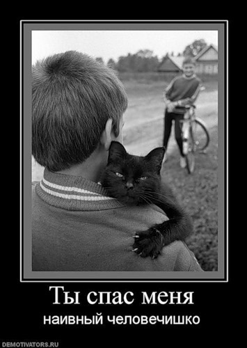 №183, Юлия Каспер-Науменко, Киев №183, Юлия Каспер-Науменко, Киев