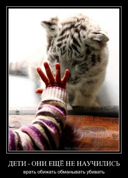 Альфия Калимуллина | Челябинск