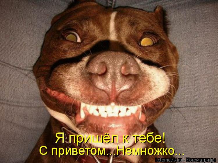 Надежда Керн | Минск