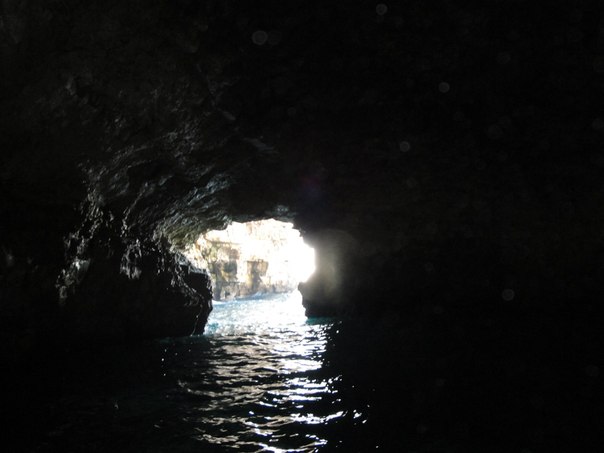 №38, Sabino Renbow, Torino №38, Sabino Renbow, Torino