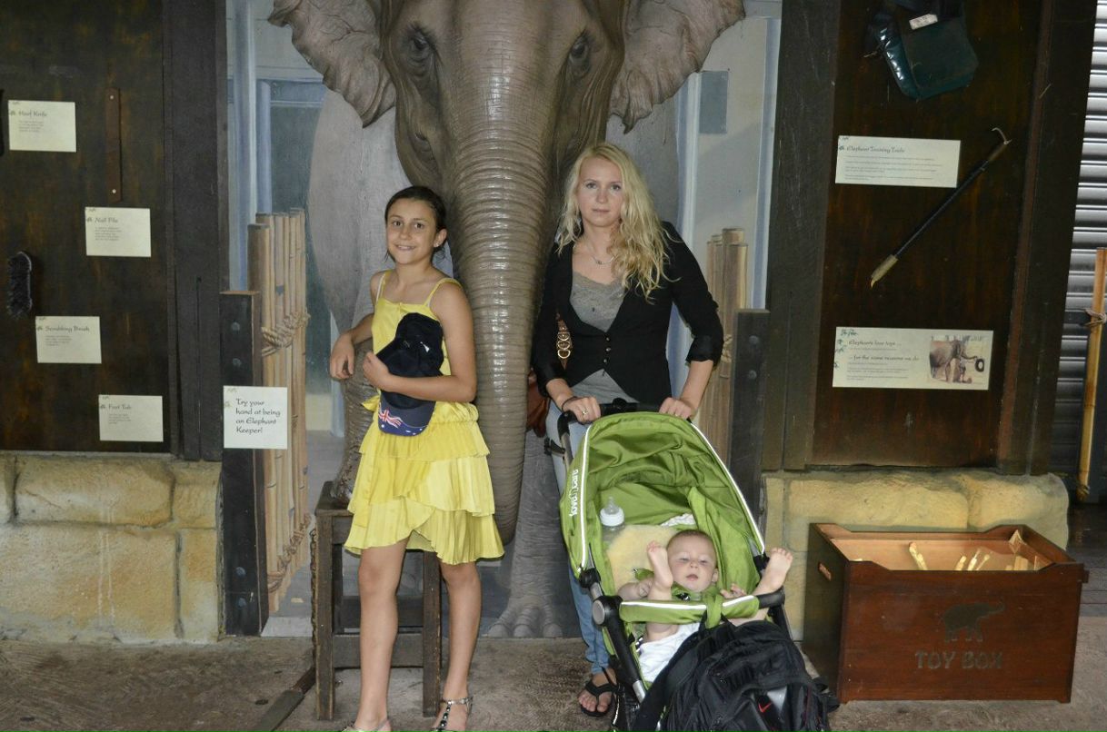 Анастасия Ушакова | 