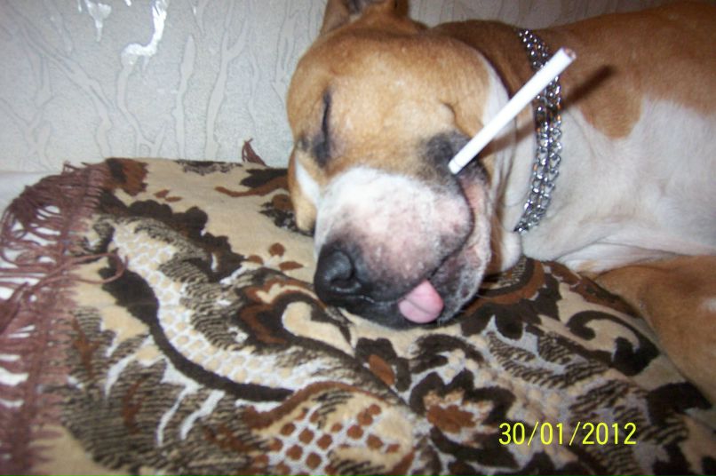 Геннадий Бормотов | Одесса