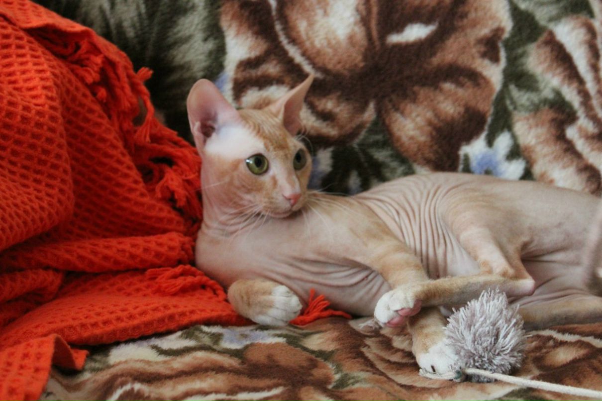 Марина Павлова | Санкт-Петербург