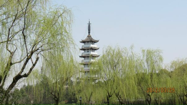 №67, Сергій Стасюк, 41 год, Ровно №67, Сергій Стасюк, 41 год, Ровно