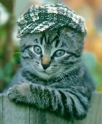 Макс Салагор | Москва