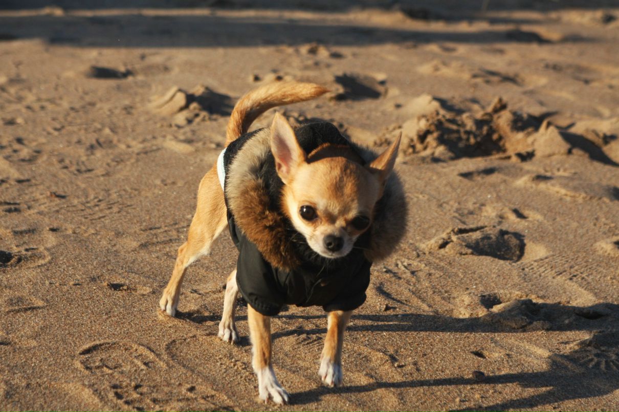 Екатерина Куренкова | Санкт-Петербург