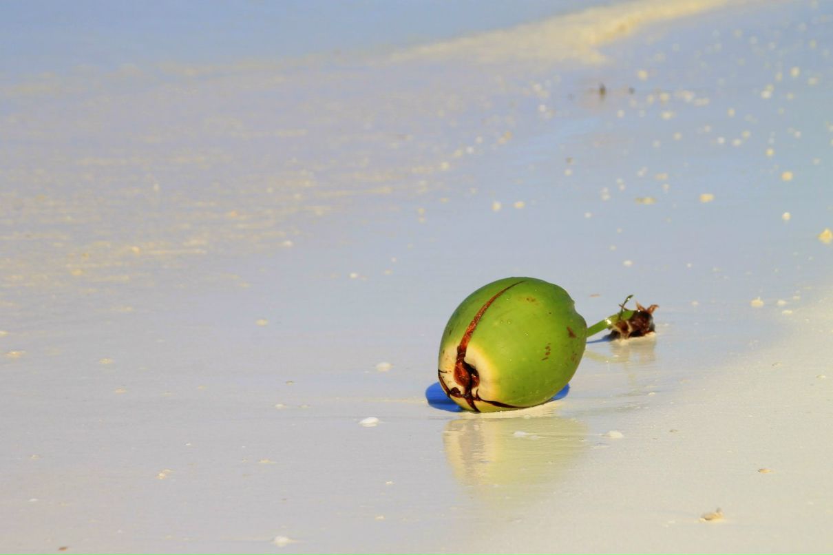 Наталья Тараклий | Москва