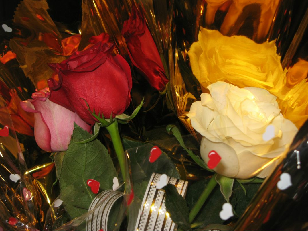 Нурфия Хамидуллина | 