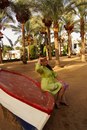 Фотография Зыбиной Лилии