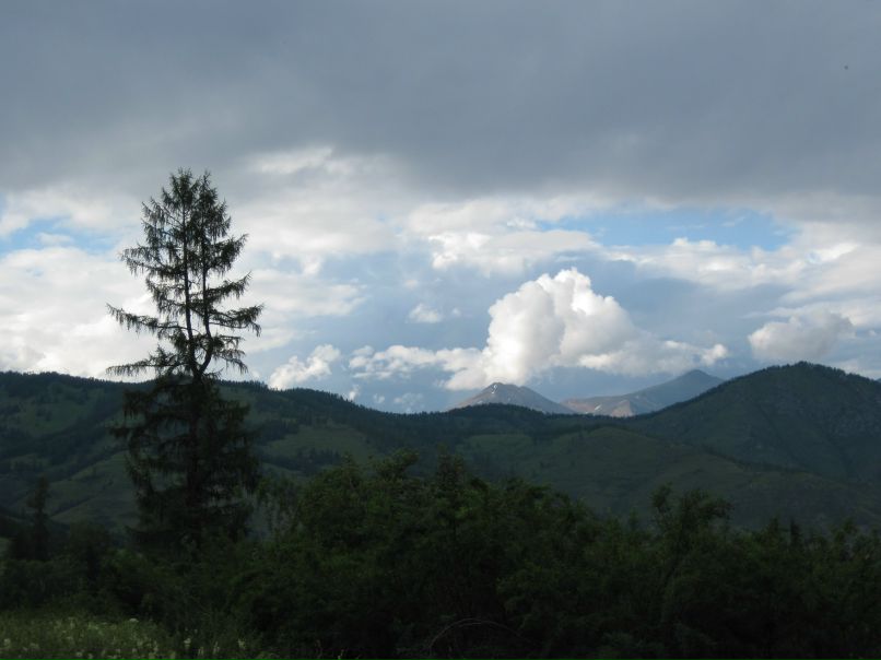 Владимир Семенов | Уфа