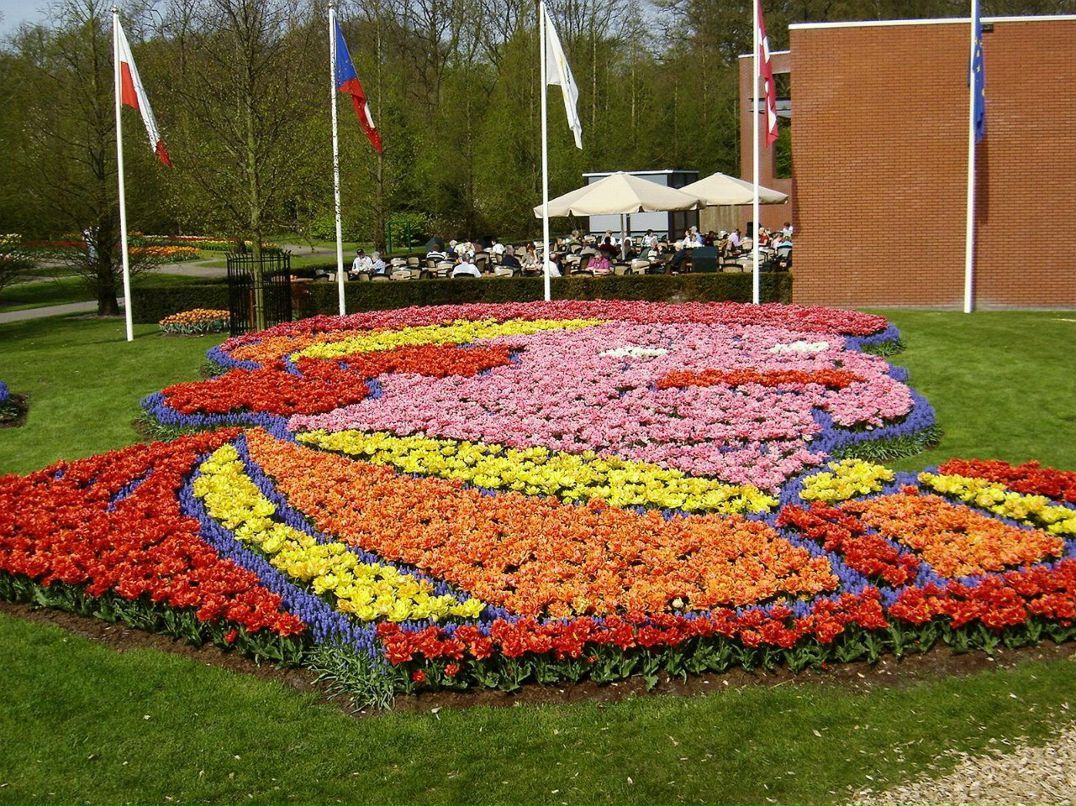 Елена Зинковская | 