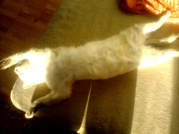 №10, Семён Резников №10, Семён Резников