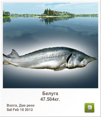 Андрей Сучков | Орёл