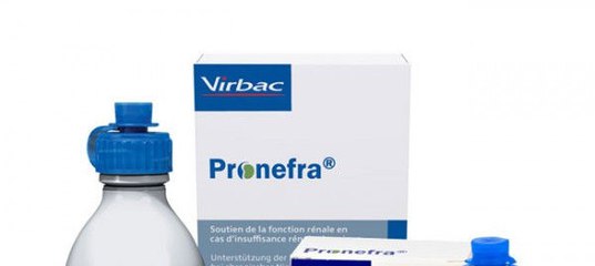 Пронефра Для Кошек Купить В Интернет Магазине