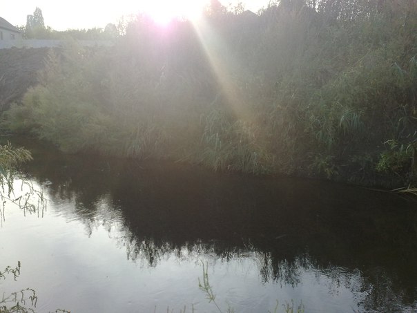 Артем Кравченко, Россия, Донецк