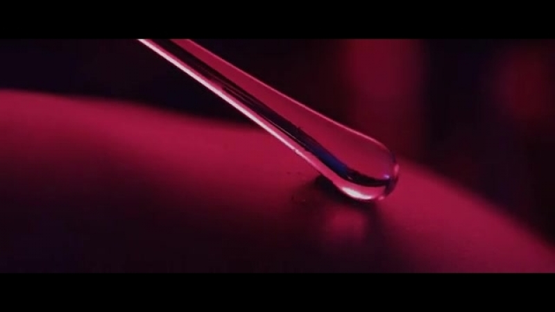 Идеальный партнер Perfect partner