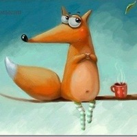 Наталья Зимина