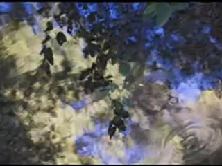 Пелагея - Не для тебя ( 