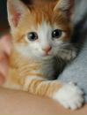№10 Нютик Парфирьева 01.11.1997: профиль, фото, статус - ВКонтакте