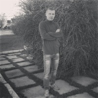 Дмитрий Колесников