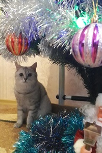 Наталья Уткина