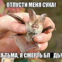 Алексей Шаповалов