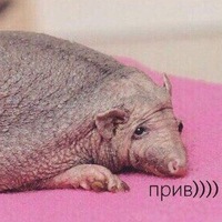 Александр Семёнов