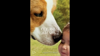 Собачья жизнь