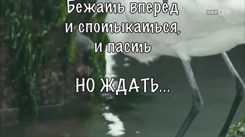 ВЕНЕЦИЯ 01 Вот новыи день Олег ГЕРМАНОВСКИИ HARLEY сл