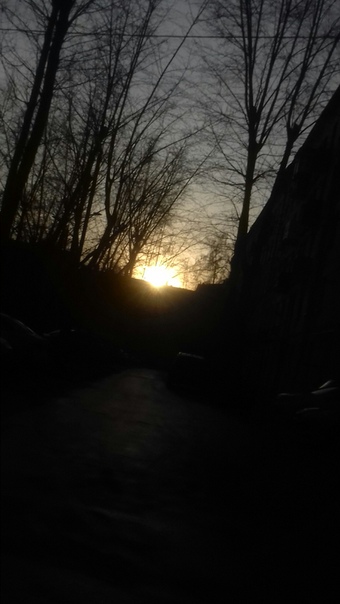 Камилла Федотова, Россия, Москва