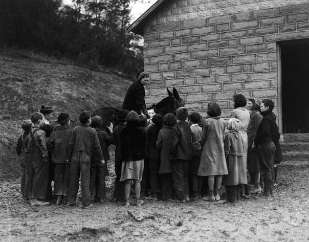 Служба конных библиотекарей. В 1930-х в Америке можно было увидеть женщин-всадников на лошадях, разъезжавших с большими сумками. Их называли книжными женщинами, так как они посвящали свое время