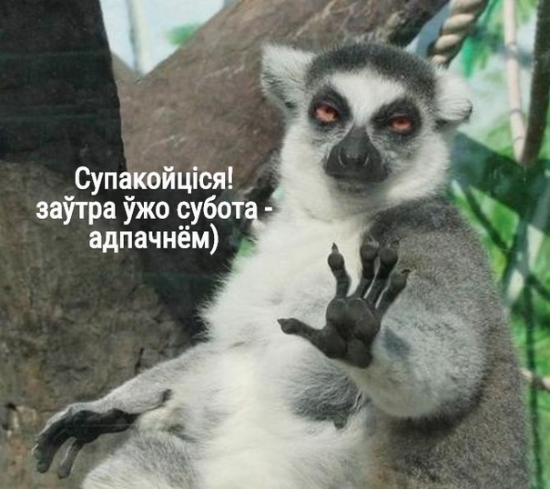 Я спокойна картинки