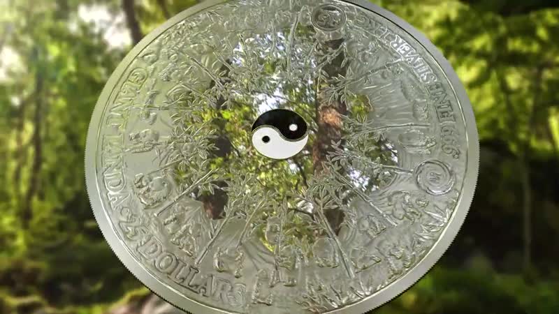 Гигантская серебряная монета Панда 1 кг Mastersize Giant Panda 2018