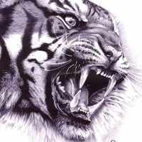 Алексей Тетерин | Пермь