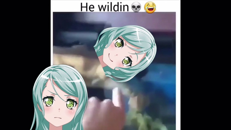 bang dream bandori