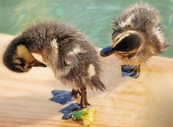 №57, Мария Лубова, 40 лет, Москва №57, Мария Лубова, 40 лет, Москва