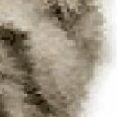 №100, Галина Павлова, Константиновка №100, Галина Павлова, Константиновка