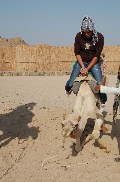 №100, Михаил Дегтярь, 37 лет, Москва №100, Михаил Дегтярь, 37 лет, Москва