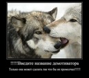 Фотография Амина Сангалиева