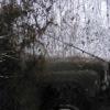 Аватар: Некит Гилязеев