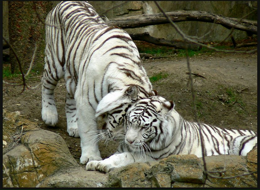 №74, Людмила Костенко, 39 лет, Санкт-Петербург №74, Людмила Костенко, 39 лет, Санкт-Петербург