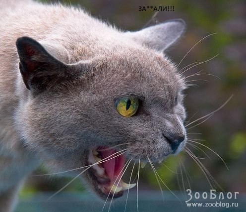 Михаил Юдин | Бугульма