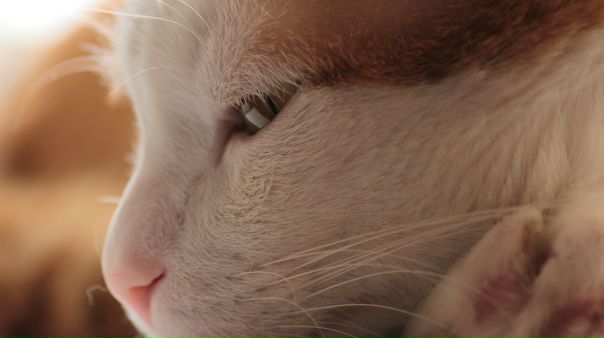 №6, Art Setcko, Норильск №6, Art Setcko, Норильск