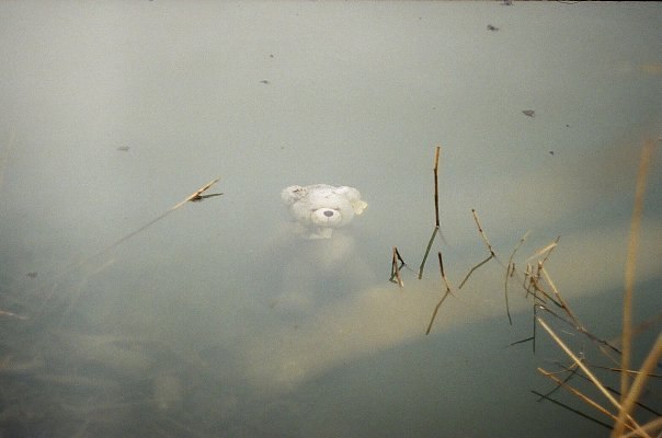 Наталья Кайбилова | Прокопьевск