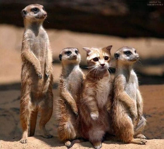 Даша Тихонова | Москва