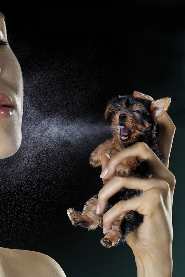 Дмитрий Чиликин | Екатеринбург